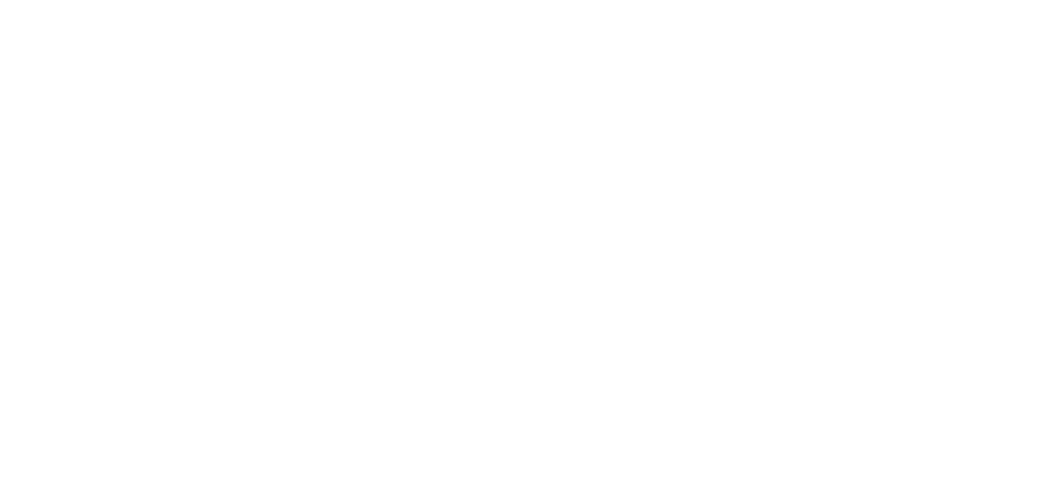 BHM Chemicals logo