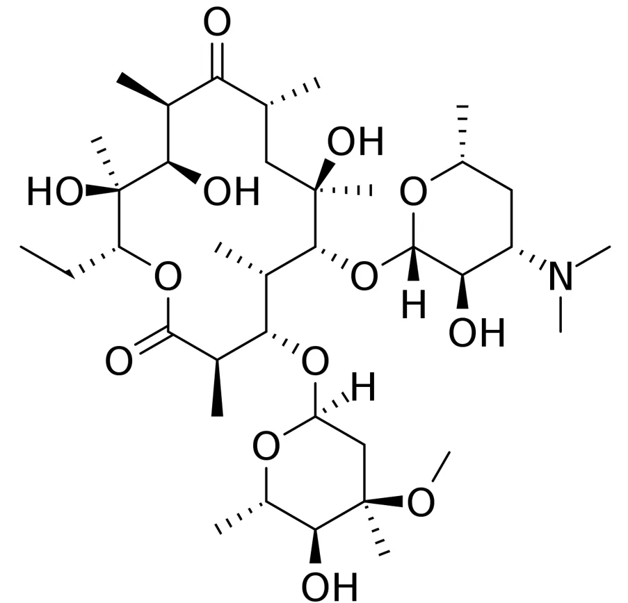 Erythromycin
